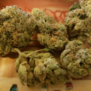 Buy Wedding Cake Strain Massachusetts , Buy Weed Online USA , Where to order Cannabis strain Boston , THC weed for sale online Worcester , Buy Indica weed