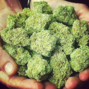 Buy THC Weed Online Massachusetts, Buy Blue Cheese Strain Online Rhode Island , Order Cannabis Boston , Purchase weed Worcester ,Cannabis supplier USA