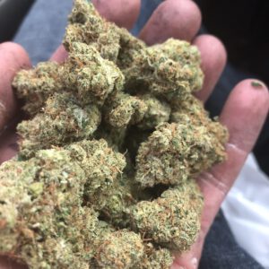 Buy Dutch Treat Strain Online Massachusetts , Cannabis for sale Ireland , Where to buy Weed online Rhode Island , Order Indica Weed online Boston ,Worcester