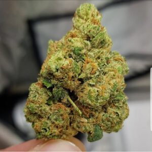 Buy El Chapo OG Strain Online Massachusetts , Weed for sale Online USA , Order Quality Cannabis online Boston , where to buy Indica weed Rhode Island