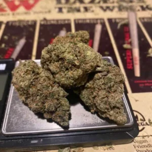 Sherbet Queen Strain , Buy THC Weed Online Massachusetts , Where to buy Indica weed Rhode Island , Order Cannabis Boston , Purchase Marijuana Worcester
