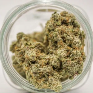 Buy weed in Massachusetts ,Golden Banana State Strain for sale online Rhode Island , where to buy quality Cannabis Boston , order indica weed Worcester