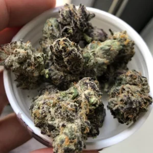 Buy Blue Zkittlez Strain Massachusetts , Where to buy weed online USA , Cannabis for sale Rhode Island , Order Indica weed strain online Boston ,Worcester
