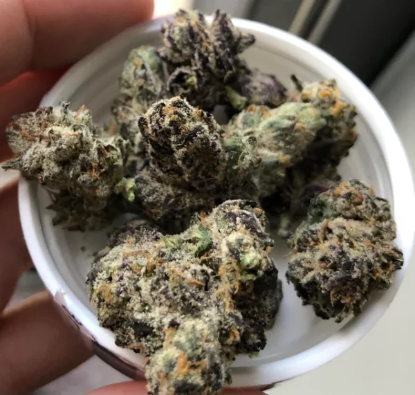 Buy Blue Zkittlez Strain Massachusetts , Where to buy weed online USA , Cannabis for sale Rhode Island , Order Indica weed strain online Boston ,Worcester