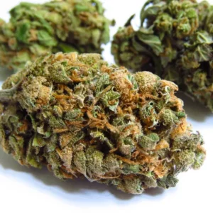 Buy Purple Lemon Haze strain Massachusetts ,Sativa weed for sale online Rhode Island ,Where to buy Medical weed online Delaware , Purchase Cannabis Boston