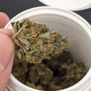 Buy White Widow Strain Massachusetts , Where to buy THC weed strain online Rhode Island , Cannabis for sale Delaware , order indica weed New York, Boston